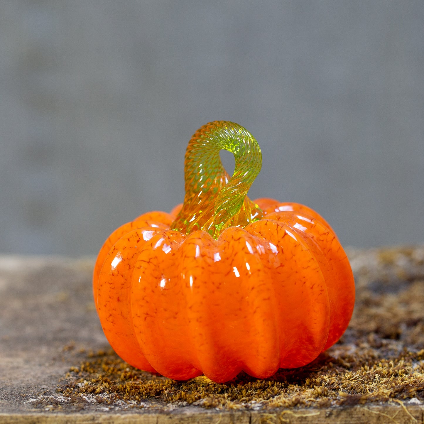 Pumpkinette Mini Pumpkins