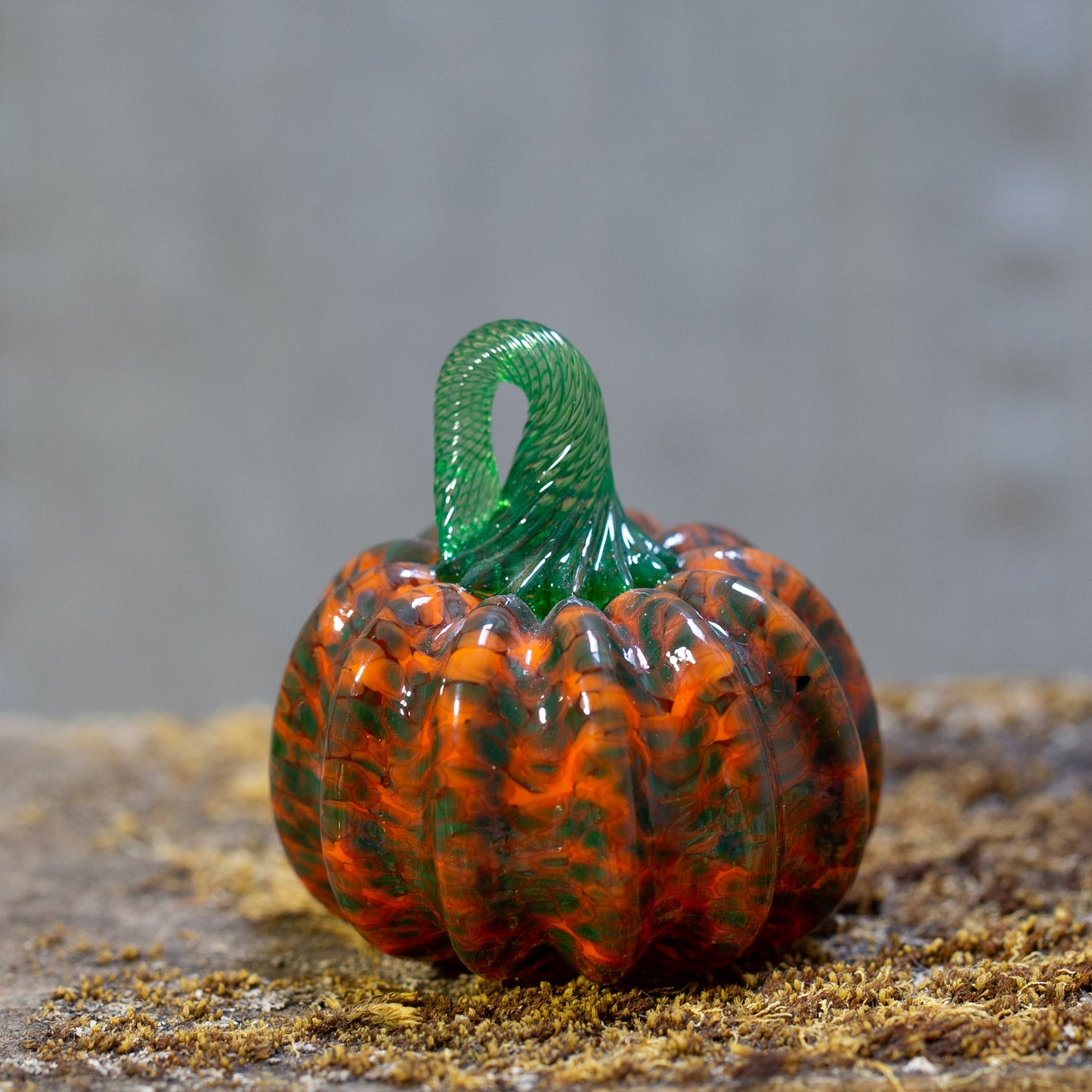 Pumpkinette Mini Pumpkins